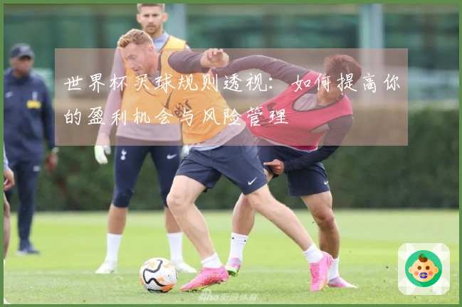 世界杯买球规则透视：如何提高你的盈利机会与风险管理