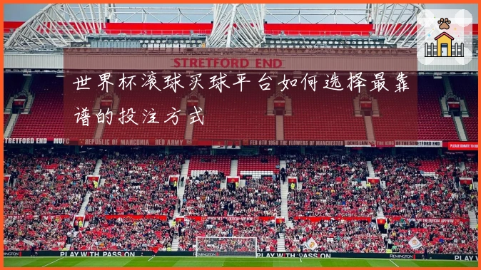 世界杯滚球买球平台如何选择最靠谱的投注方式