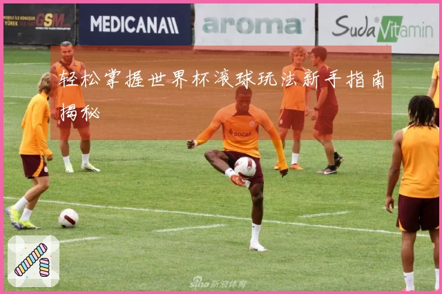 轻松掌握世界杯滚球玩法新手指南揭秘