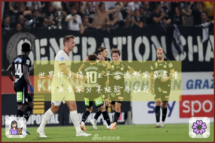 世界杯竞猜投注平台选哪家最靠谱？行业专家分享经验与推荐