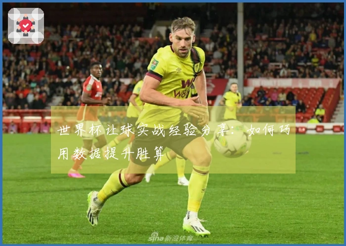 世界杯让球实战经验分享：如何巧用数据提升胜算