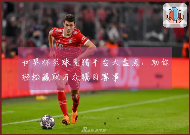 世界杯买球竞猜平台大盘点，助你轻松赢取万众瞩目赛事