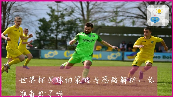 世界杯买球的策略与思路解析，你准备好了吗