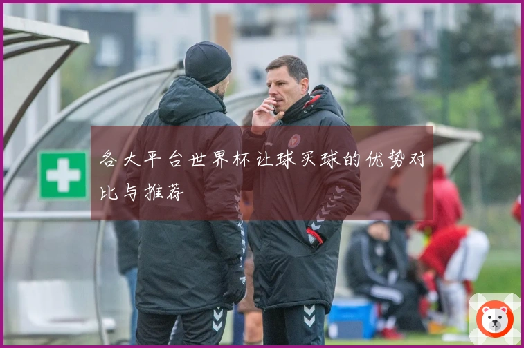 各大平台世界杯让球买球的优势对比与推荐